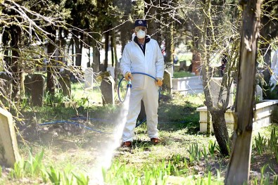 Karesi'de Hasereyle Mücadele Kesintisiz Sürüyor