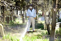 Karesi'de Hasereyle Mücadele Kesintisiz Sürüyor