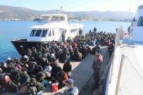 Izmir'de Göçmen Operasyonu Açiklamasi 226 Göçmen Ile 10 Insan Kaçakçisi Yakalandi