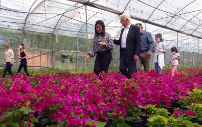 Mugla'da Üretilen Çiçekler 25 Ilin Sokaklarini Süslüyor