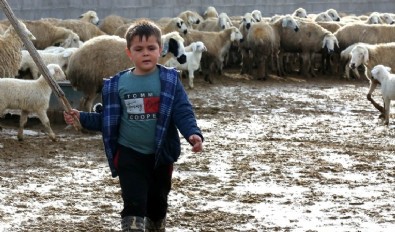 'Öğretmen gitti ben de özgürüm' dediği videosu viral olmuştu: Küçük Yasin en büyük hayalini açıkladı