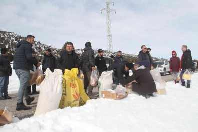 Konya'da Agir Kis Sartlarinda Dogadaki Hayvanlar Unutulmadi