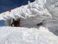 Sandras Yaz-Kis Dogaseverlerin Gözdesi