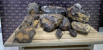 10 Milyon Lira Degerinde 'Balina Kusmugu' Ele Geçirildi