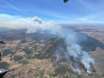 Arjantin'de Alevler Tarimsal Deney Istasyonu'na Ulasti