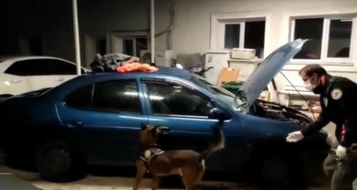 Istanbul'dan Getirdikleri Uyusturuculari Satamadan Yakalandilar