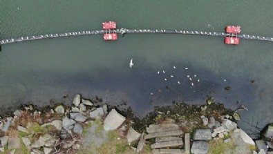 CHP'li İmamoğlu vatandaşı zehirliyor! İBB tesislerinden Haliç'e atık su akıtılıyor...