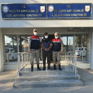 Kapi Ve Pencere Hirsizlari Yakalandi