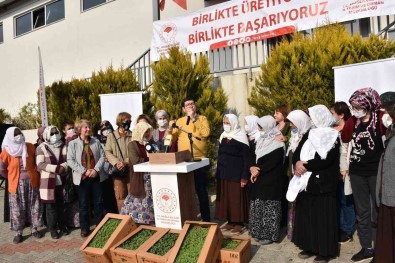 Yangin Magduru Üreticilere Yem Destegi