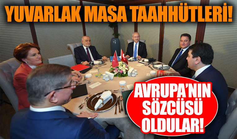 6 benzemezden ortak bildiri! Türkiye'nin egemenlik haklarından tavizler istediler