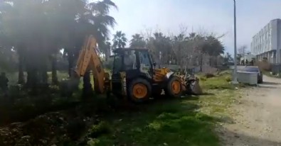 Gezi'de ortalığı yıkmışlardı! CHP'li belediye İyi Parti'li Hasan Hoyrazlı için kamu malı palmiyeleri söktü