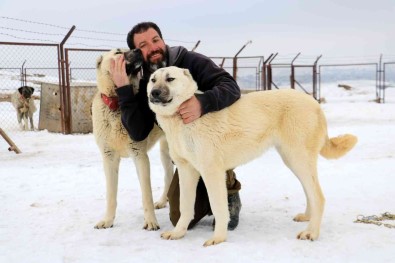 Kangallar Saldirmaz Korur