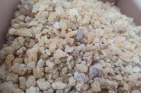 Mezda Sakizinin Kilosu 750 Liradan Satiliyor