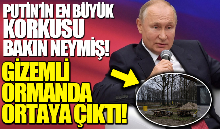Putin'in en büyük korkusu gizemli ormanda ortaya çıktı! New York Times yazdı...