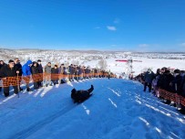 Hizlari 110 Kilometreyi Bulan Kizak Yarislari Büyük Heyecana Sahne Oldu