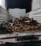 Mide Bulandiran Görüntü