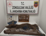 Usulsüz Avcilara Ceza