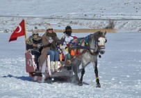 Kars'ta Masalsi Atli Kizak Seferleri Sürüyor