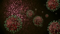 20 Şubat koronavirüs verileri açıklandı! İşte Kovid-19 hasta, vaka ve vefat sayıları...
