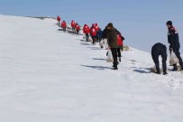 Agri'da Yaban Hayvanlari Için Dogaya Yem Birakildi