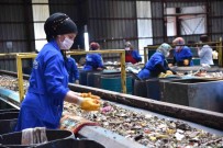 Atiklar Sifirlandi, 319 Bin Agaç Kesilmekten Kurtuldu