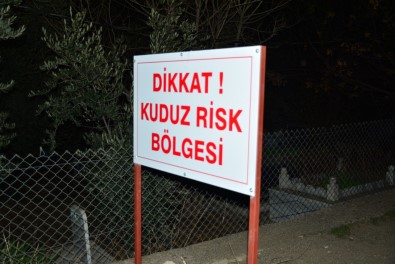 Mardin’de vatandaşlara saldıran köpek kuduz çıktı: Mahalle karantinaya alındı