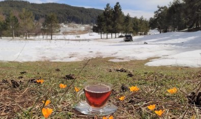 Simav Gölcük Yaylasi, Baharin Müjdecisi Çigdemlerle Renklendi