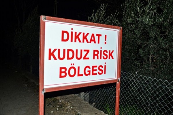 Mardin’de vatandaşlara saldıran köpek kuduz çıktı: Mahalle karantinaya alındı