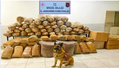 Bingöl'de 650 Kilo Kiyilmis Tütün Ele Geçirildi