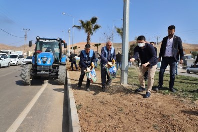 Cizre'de Toplumsal Duyarlilik Etkinlikleri Yapildi