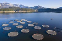 TARSIM Açiklamasi 'Su Ürünleriniz, Kafes Ve Aglariniz TARSIM Güvencesinde'