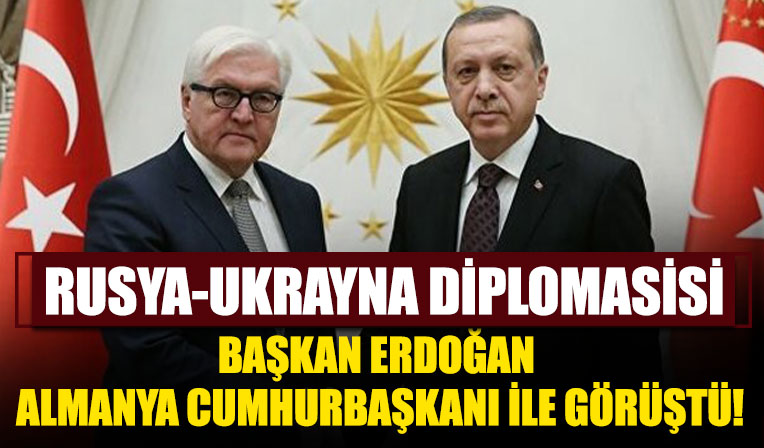 Başkan Erdoğan, Almanya Cumhurbaşkanı Steinmeier ile görüştü