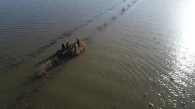 Kaçak Avcilik Denetimi; 20 Bin 528 Lira Ceza