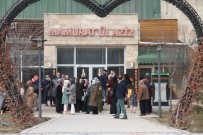 Nikah Dairelerinde 22.02.2022 Yogunlugu