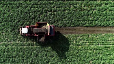 Sukkar Seker'den Pancar Üreticisine Destek