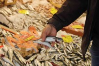 Uzun Yillardir Görünmüyordu, Yeniden Tezgahlari Senlendirmeye Basladi