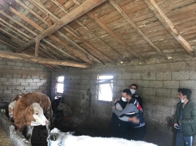 Antalya'da Jandarmanin Hayvanlarina Kavusturdugu Besici Büyük Mutluluk Yasadi