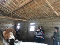 Antalya'da Jandarmanin Hayvanlarina Kavusturdugu Besici Büyük Mutluluk Yasadi