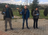 Tedavi Edilen 335 Hayvan Dogaya Salindi