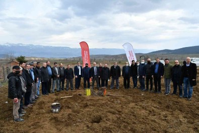 78 Çiftçiye 61 Bin 250 Adet Bag Fidani Dagitildi