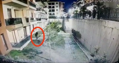 Palali Örümcek Adam 5.Kattan Asagiya Böyle Indi...