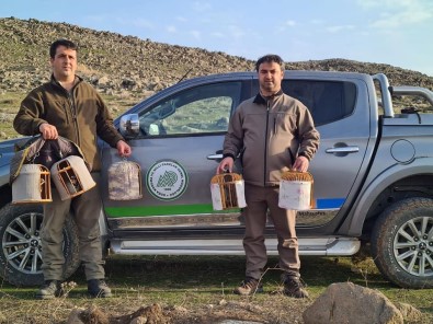 Kinali Keklik Avcilarina Suçüstü Yakalandi