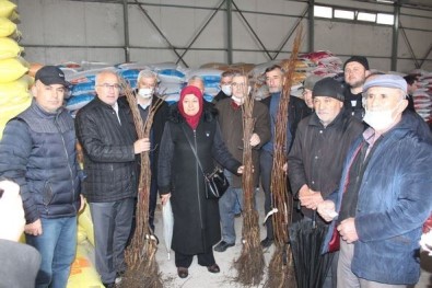 Tavsanli'da 115 Üreticiye 6 Bin 400 Ceviz Fidani