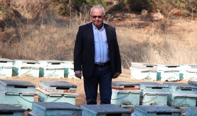 Iklim Krizi Arilari Da Vurdu