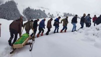 Kar Yagisinin Yogun Yasandigi Köyde Cenazeler Kizakla Tasiniyor Haberi
