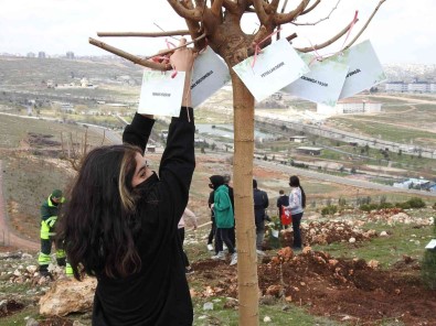 Sahinbey'de 26 Bin Agaç Dikilecek