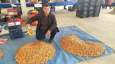 Tohumluk Kuru Soganin Kilogram Fiyatini 5 TL'ye Düstü