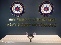 Van'da 25 Kisi Tutuklandi