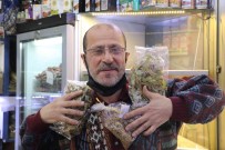 Dogal Sifa Deposu Ihlamurun Fiyatlari Cep Yakiyor