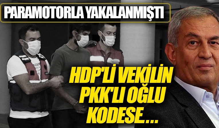 Eski HDP'li milletvekilinin oğluna 9 yıl 7 ay hapis
